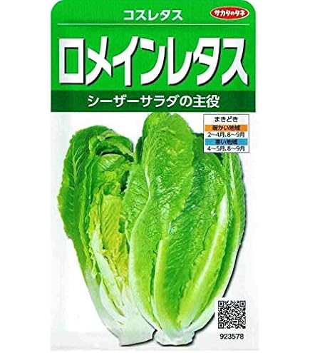 ★レタス 国内1月26日発売予定】 アディダス オリジナルス コージー